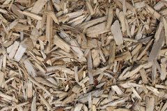 biomass boilers Nasg
