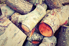 Nasg wood burning boiler costs